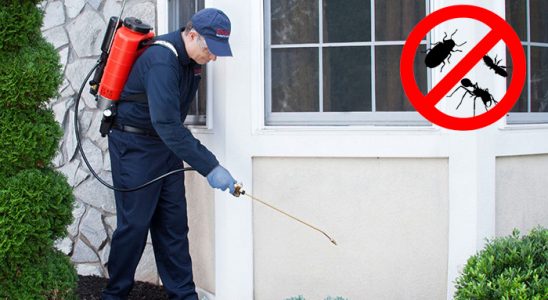 Sincan Böcek İlaçlama böcek ilaçlama ve haşere kontrolü — ilaclama-tr.com